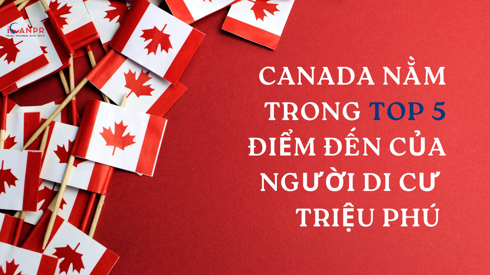 Canada Nằm Trong Top 5 Điểm Đến Cho Người Di Cư Triệu Phú Năm 2024