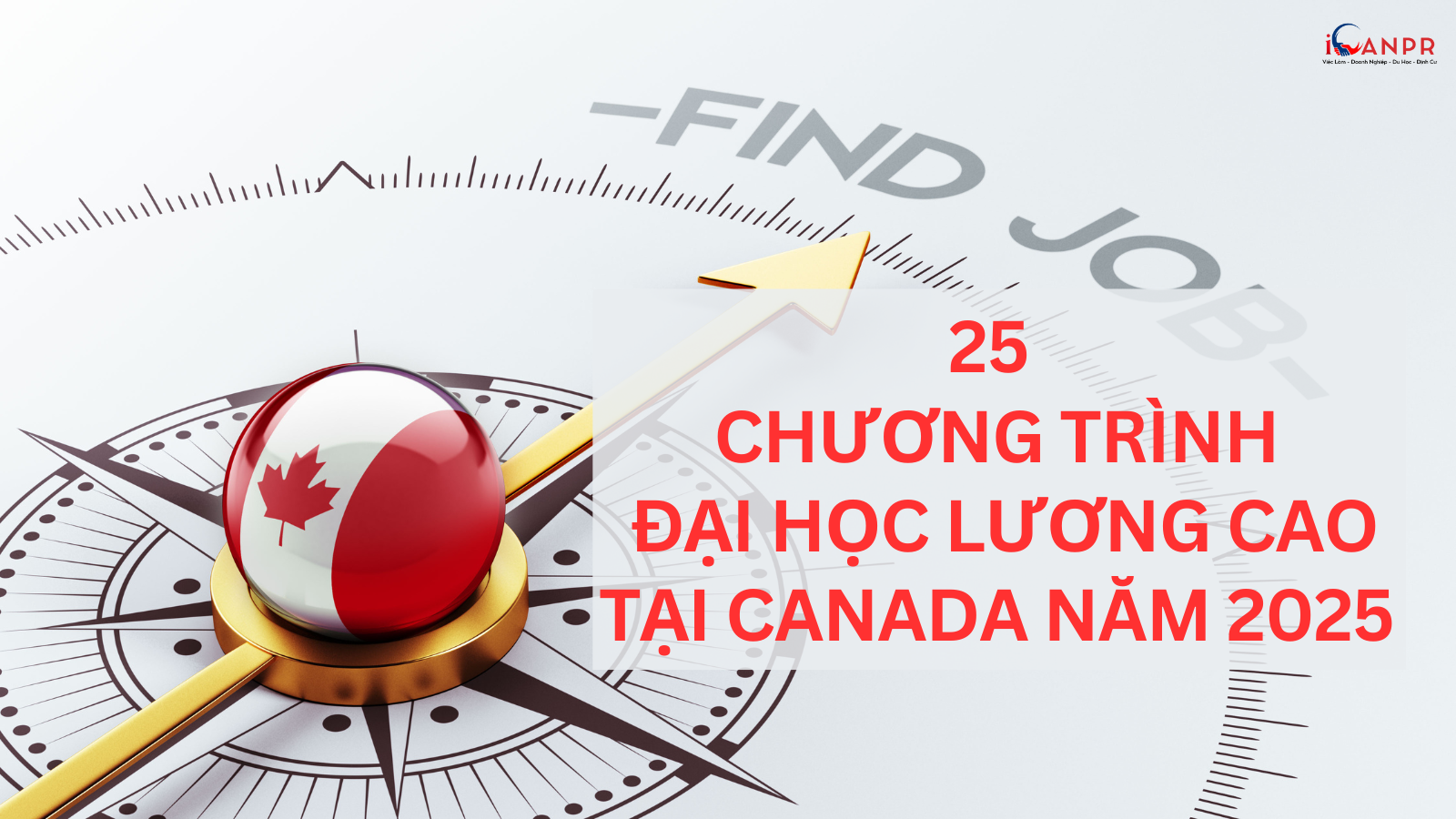 25 Chương Trình Đại Học Lương Cao Tại Canada Năm 2025: Lộ Trình Nghề Nghiệp Lý Tưởng