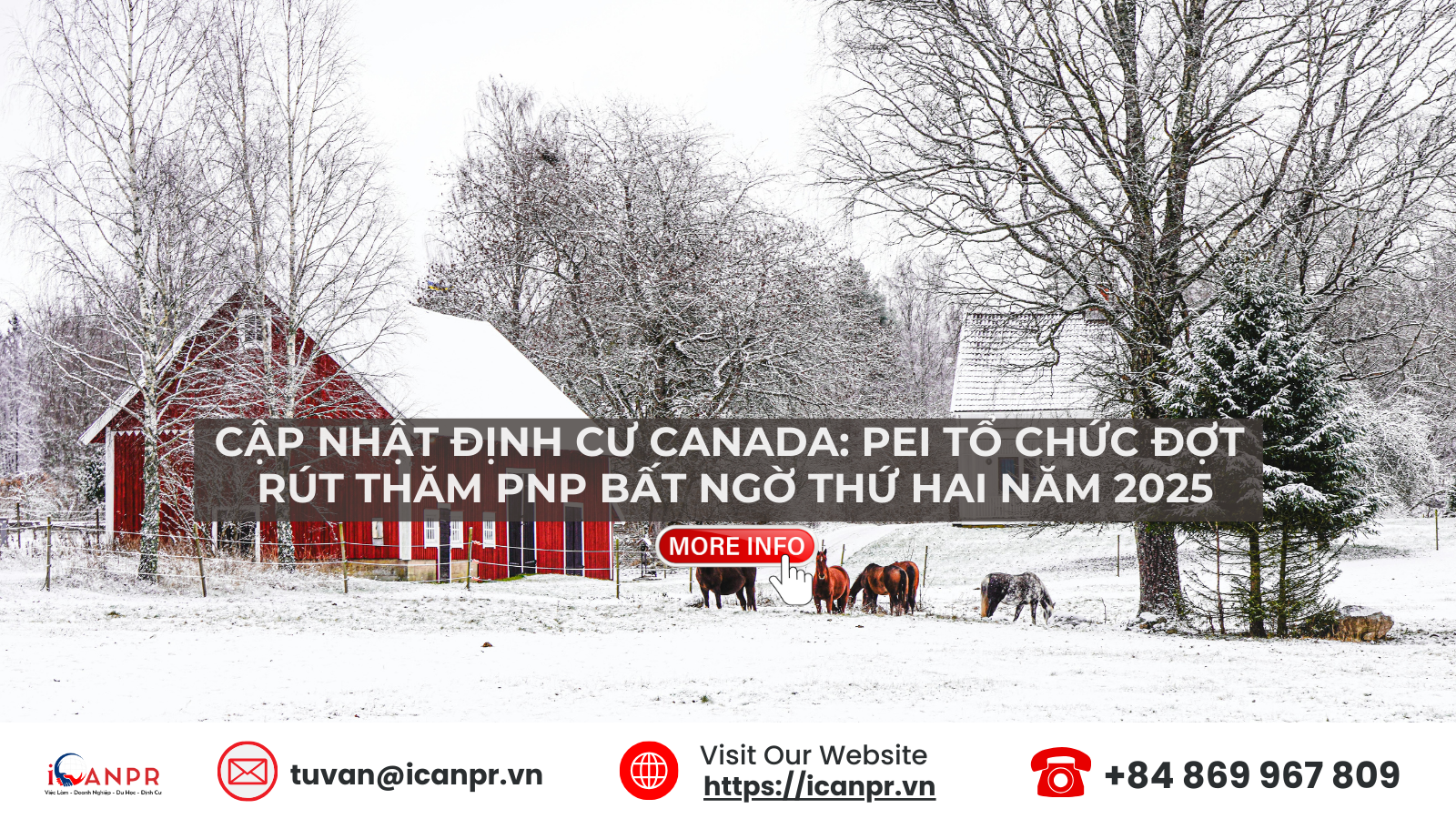 Cập Nhật Nhập Cư Canada: PEI Tổ Chức Đợt Rút Thăm PNP Bất Ngờ Thứ Hai Năm 2025